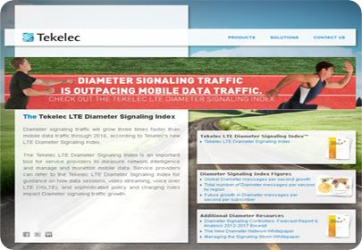 portfolio-tekeleclte