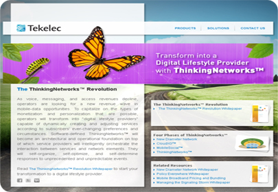 portfolio-tekelecthinkingnetworks