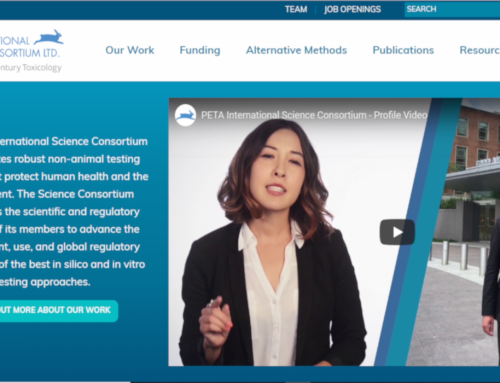 Custom WordPress Theme – PETA International Science Consortium